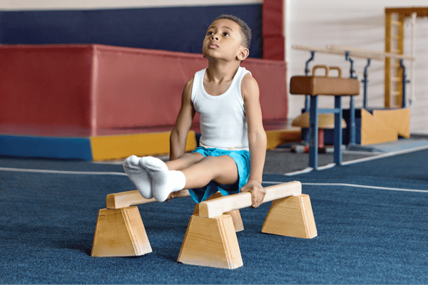 Picture for Rings, Pommel Horse and More!